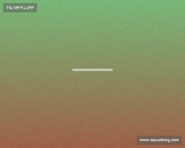 门兴格拉德巴赫:德甲新兴力量崛起背后的故事与未来展望